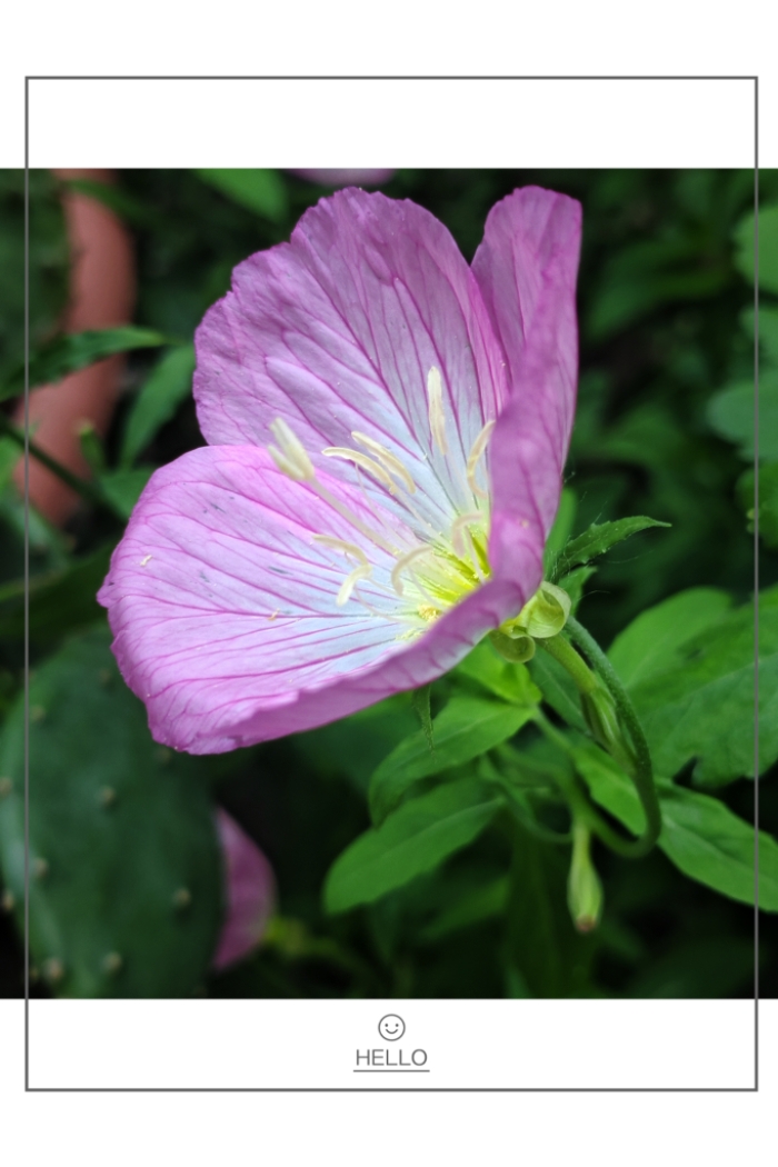 MEITU_20260611_201517680.jpg