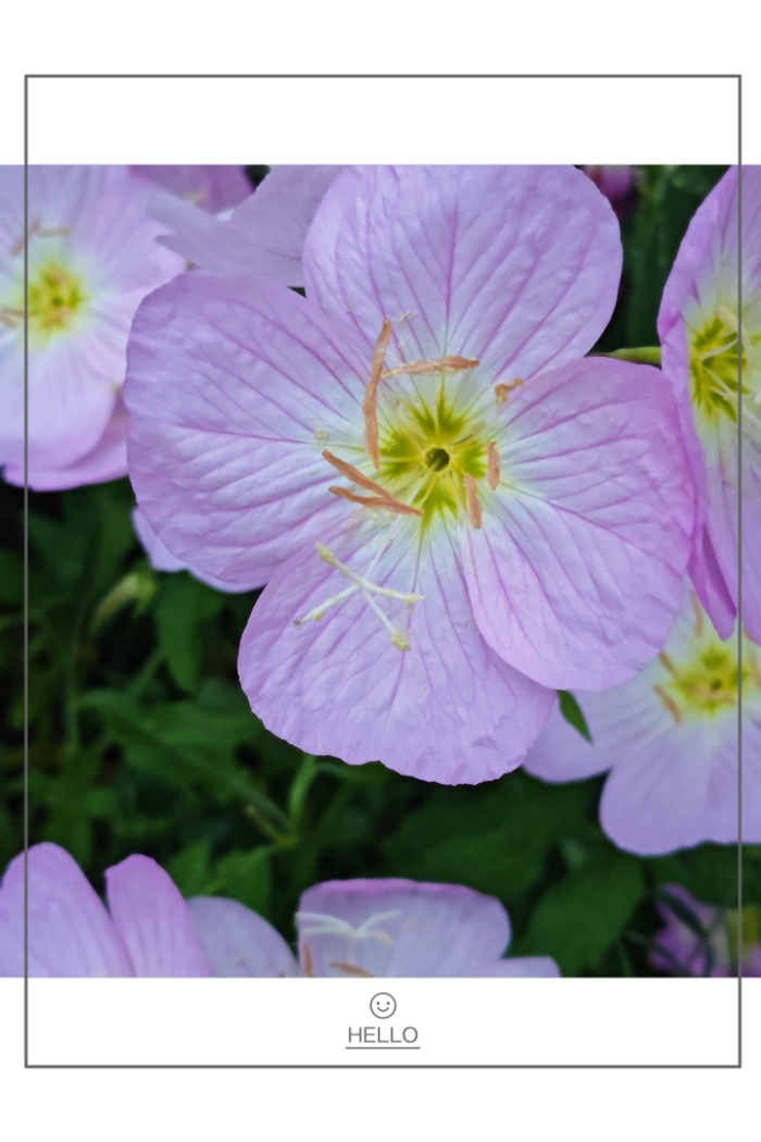 MEITU_20260611_202254002.jpg