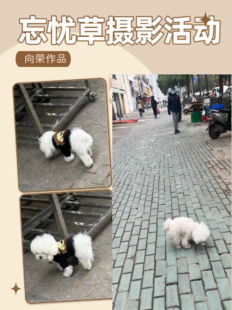 5555.jpg