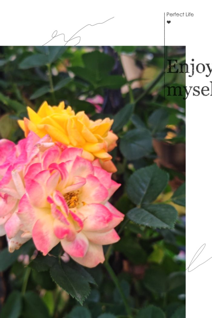 MEITU_20260612_140718046.jpg