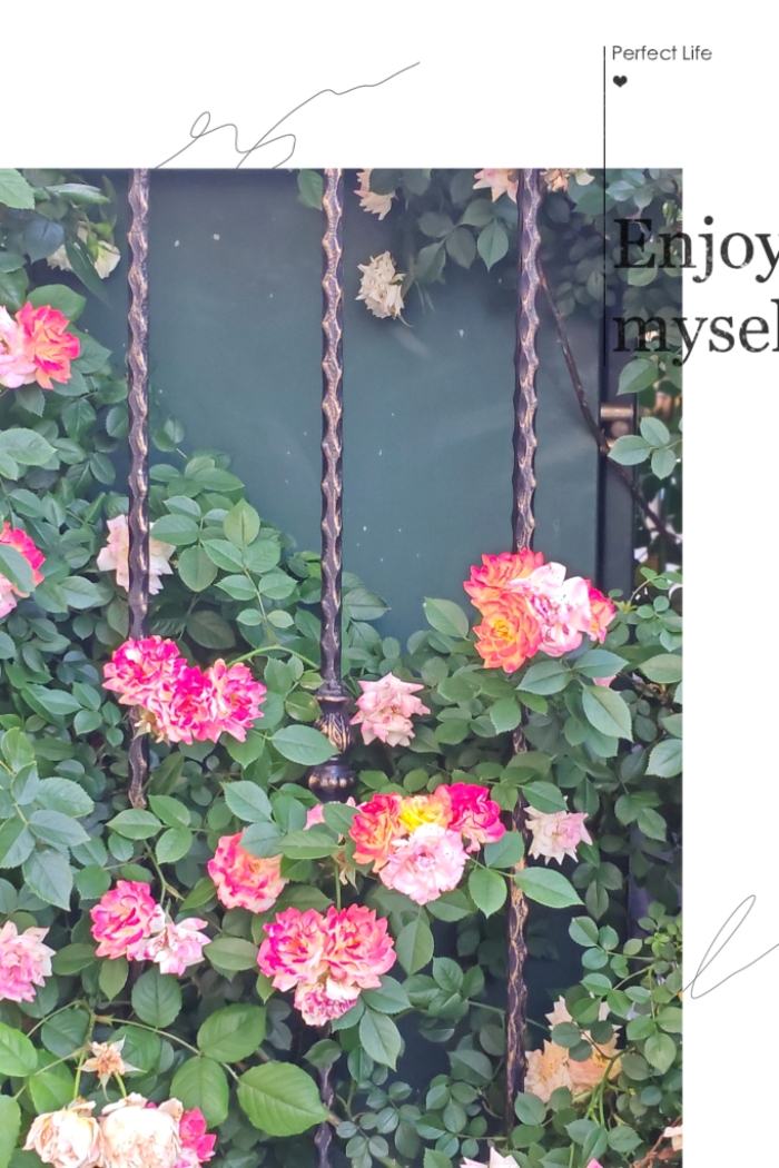 MEITU_20260612_140834332.jpg