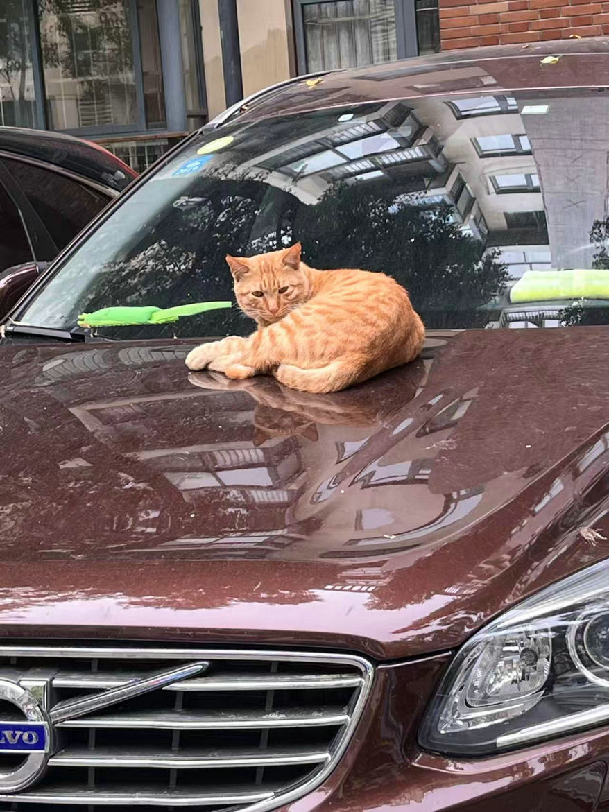 ΢��ͼƬ_20260612121448.jpg
