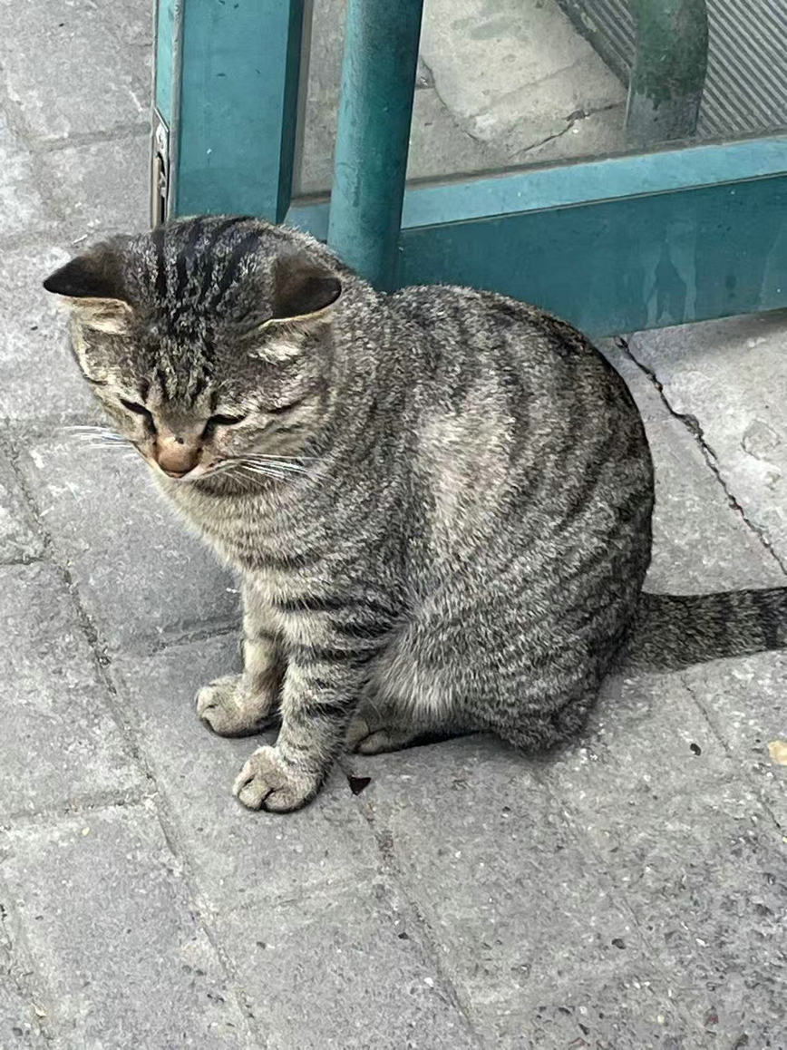 ΢��ͼƬ_20260612121256.jpg
