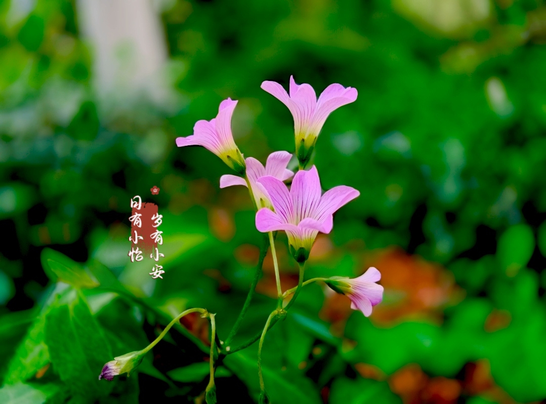 MEITU_20260614_163853376.jpg