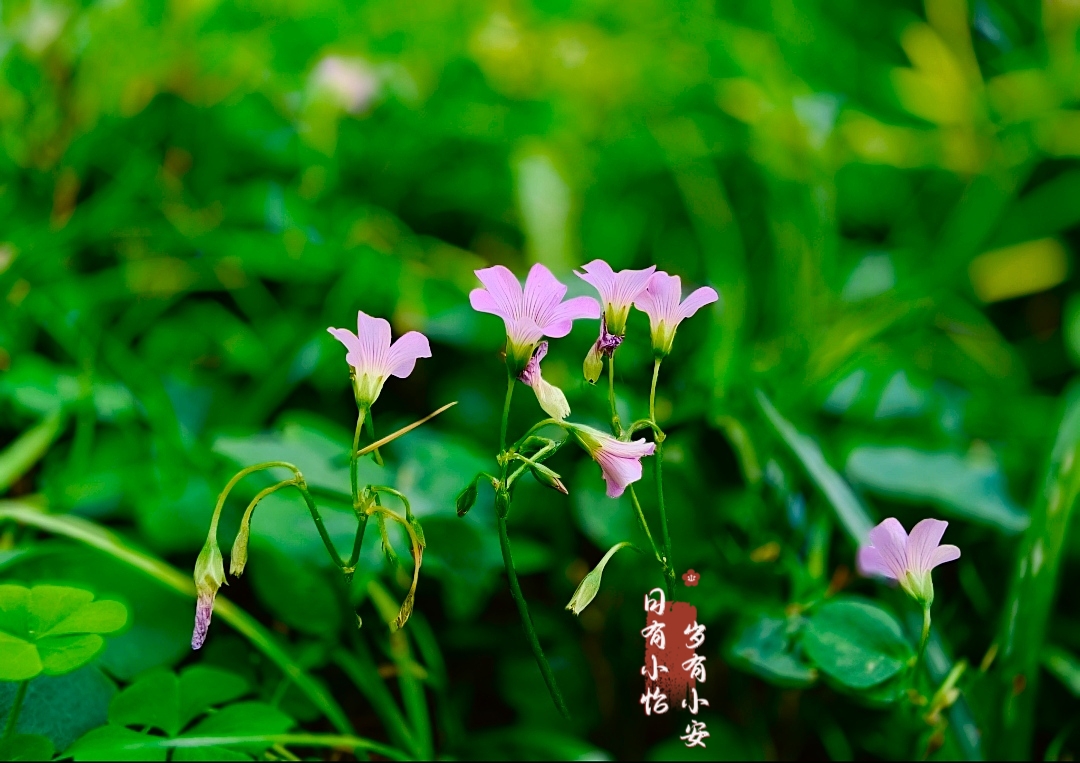 MEITU_20260614_163224761.jpg