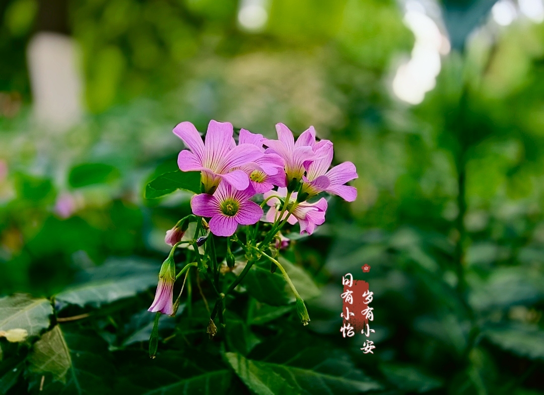 MEITU_20260614_162134113.jpg