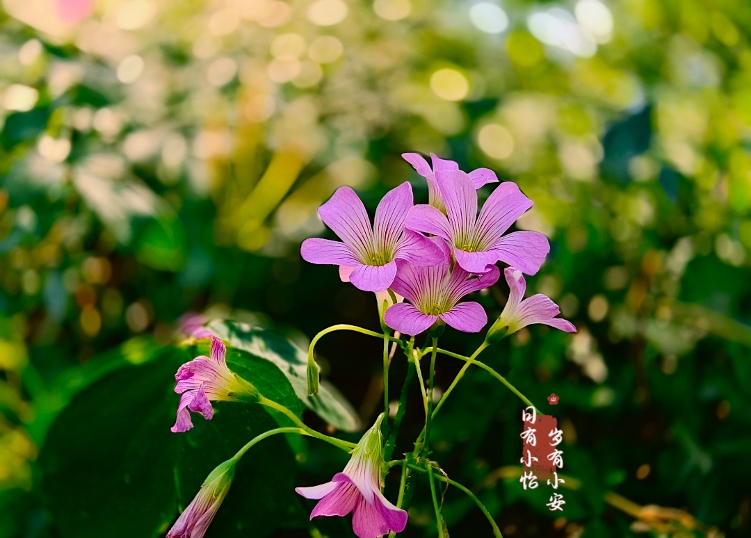 MEITU_20260614_163034145.jpg
