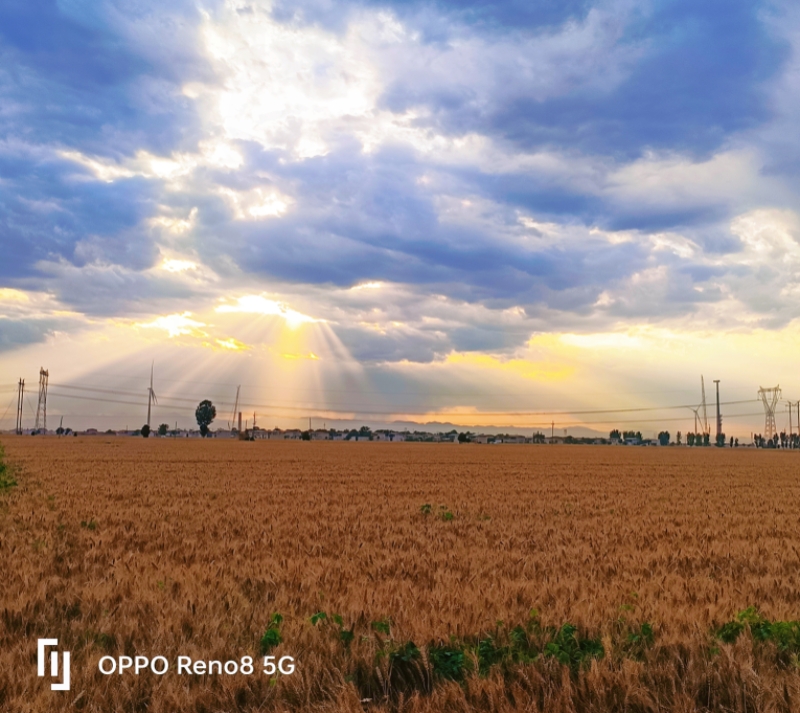 MEITU_20260615_080041189.jpg