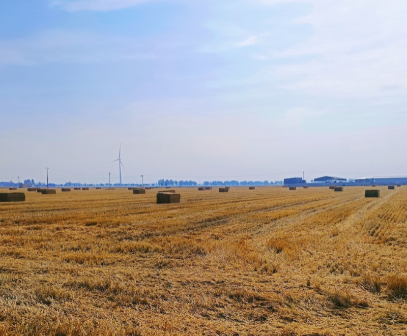MEITU_20260615_075453544.jpg