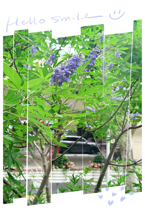IMG_7873.jpeg