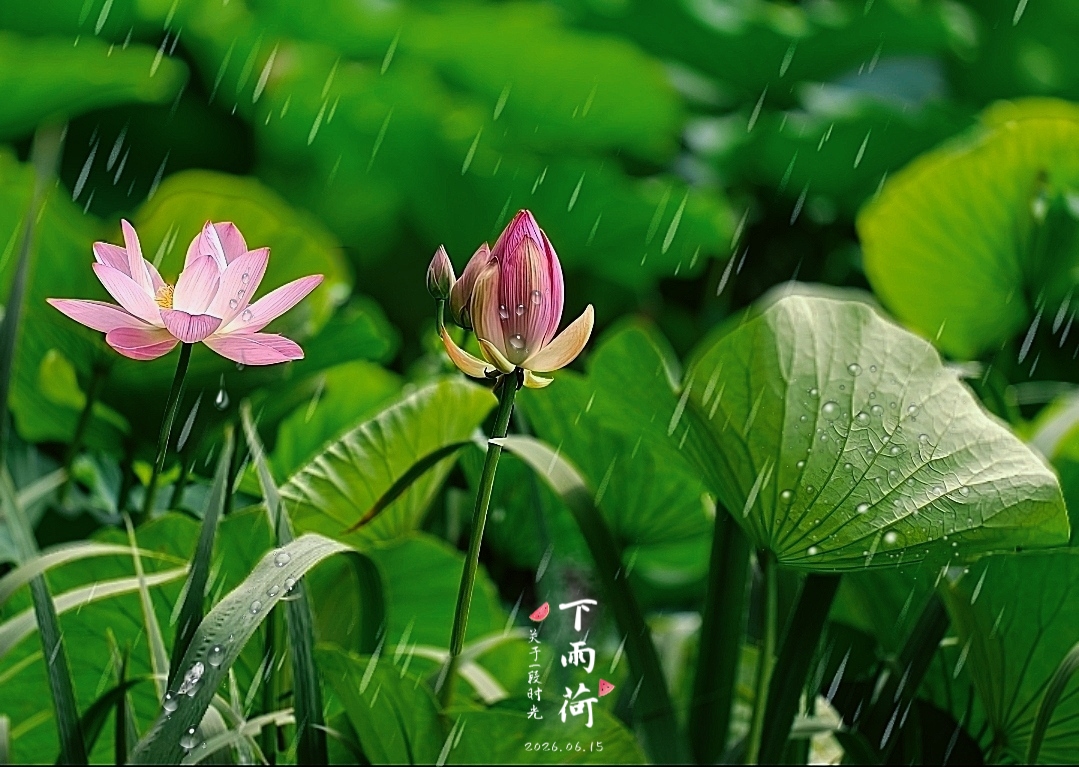 MEITU_20260615_140848963.jpg