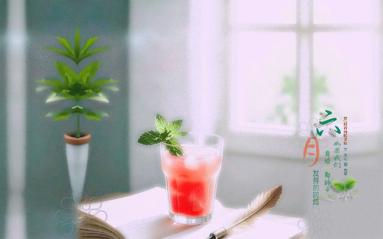 ws.jpg