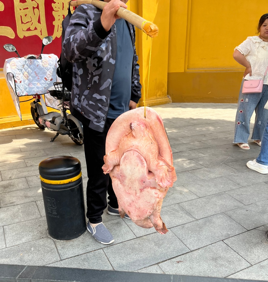 ΢��ͼƬ_20260611233614_����.jpg
