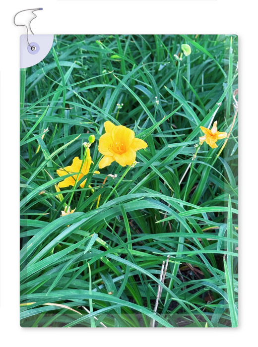 IMG_8059.jpeg