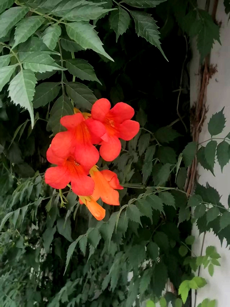 ΢��ͼƬ_20260618190743_89_4.jpg
