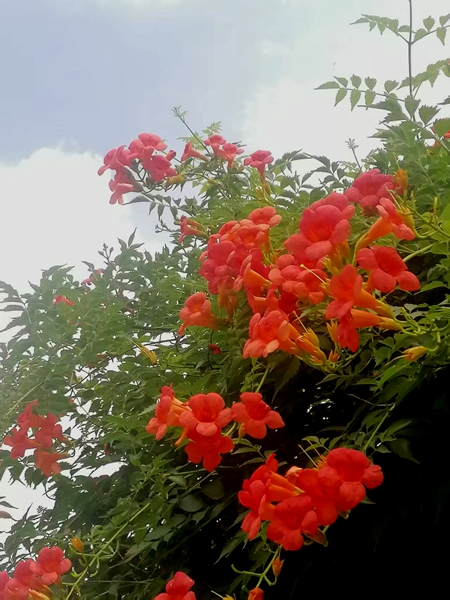 ΢��ͼƬ_20260618190745_91_4.jpg