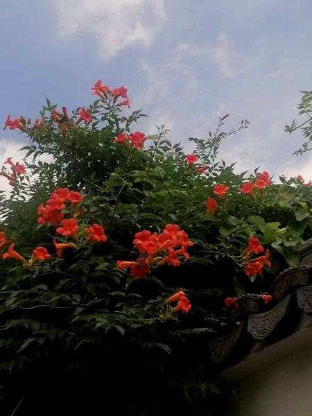 ΢��ͼƬ_20260618190747_93_4.jpg