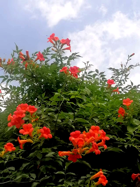 ΢��ͼƬ_20260618190748_94_4.jpg
