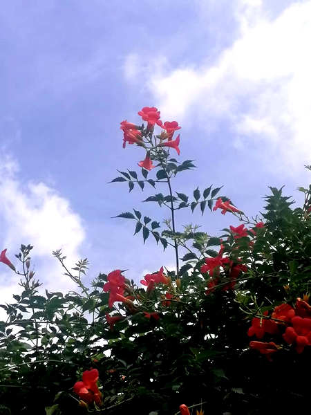 ΢��ͼƬ_20260618190749_95_4.jpg