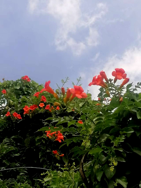 ΢��ͼƬ_20260618190750_96_4.jpg