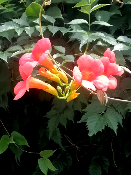 ΢��ͼƬ_20260618190753_99_4.jpg