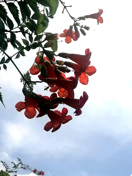 ΢��ͼƬ_20260618190754_100_4.jpg