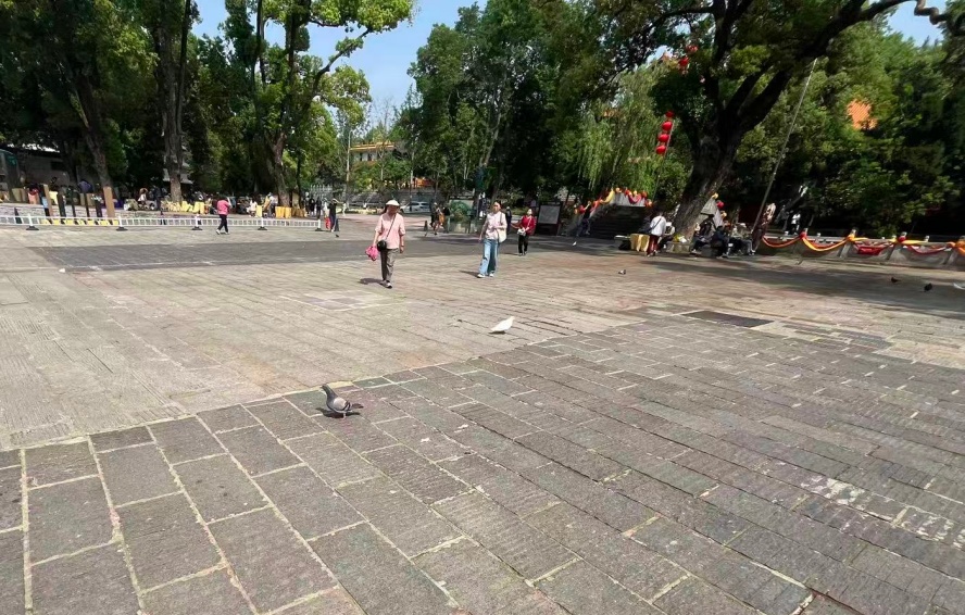 ΢��ͼƬ_20260612172441_����.jpg