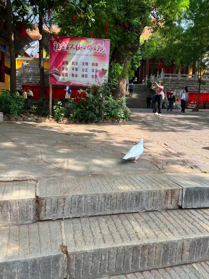 ΢��ͼƬ_202606121724401_����.jpg