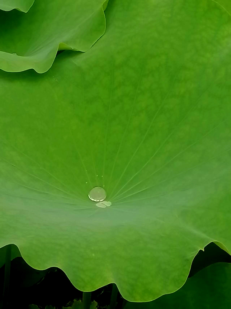 ΢��ͼƬ_20260618190705_51_4.jpg
