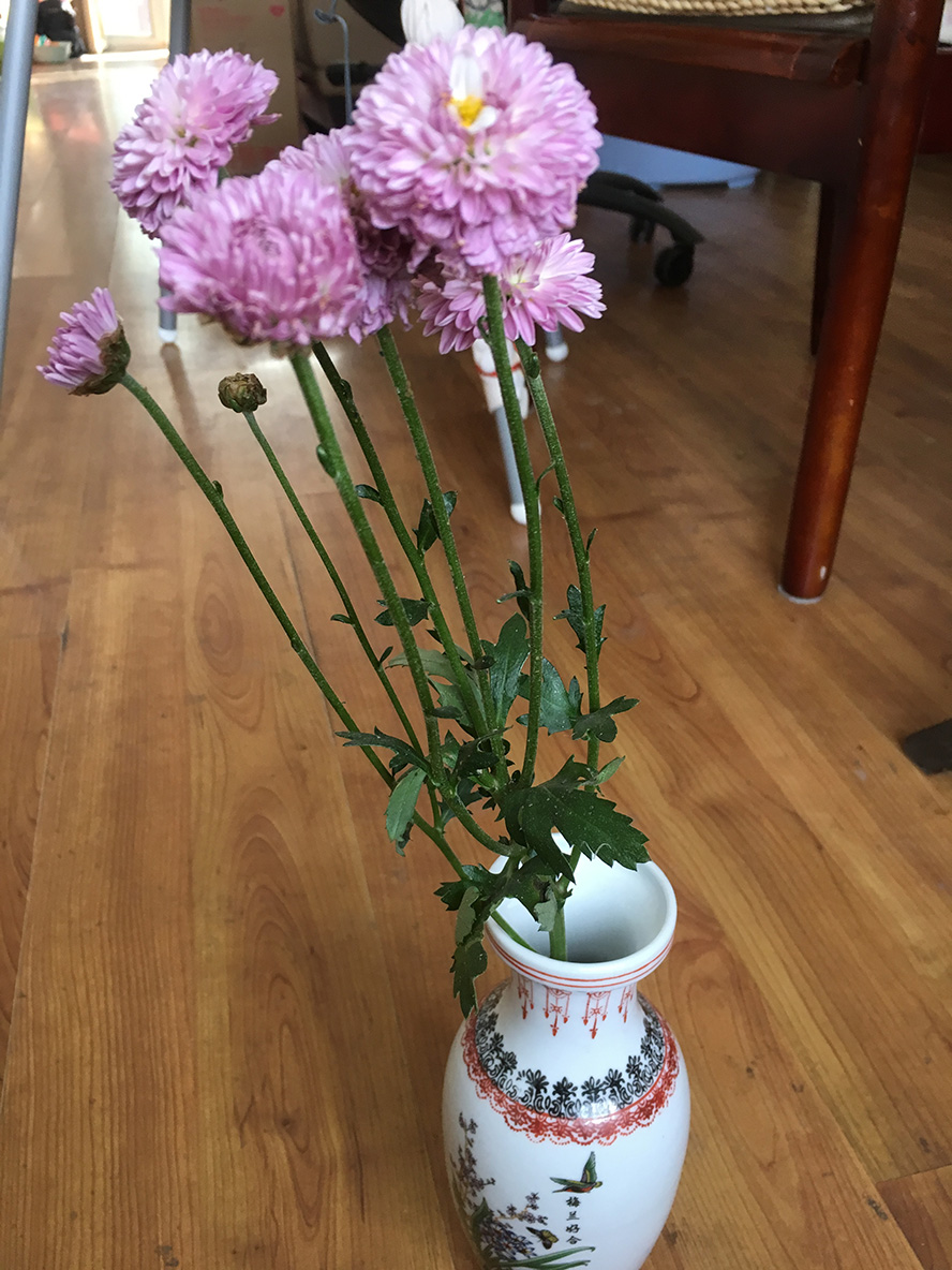 ΢��ͼƬ_20191031152815.jpg