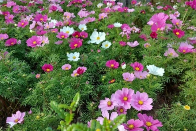 MEITU_20260614_122856893.jpg