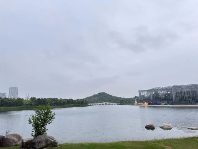IMG_2052.jpeg