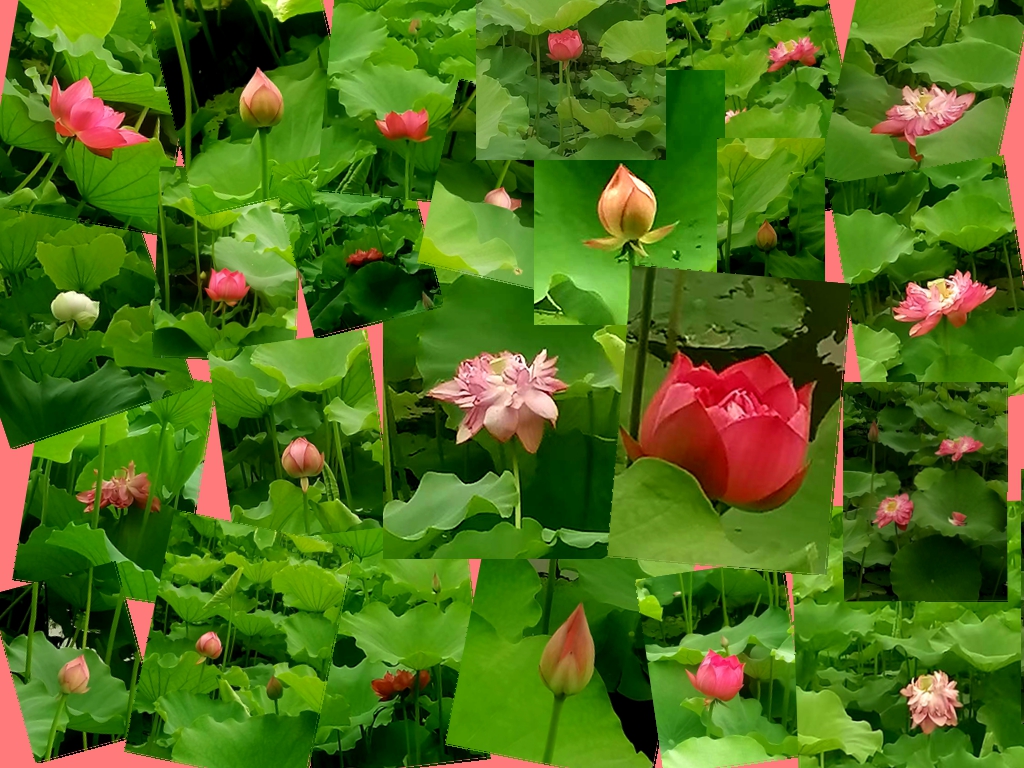 ΢��ͼƬ_20260618190736_82_4.jpg