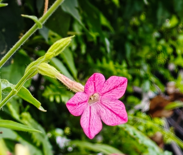 1782004406625.jpg