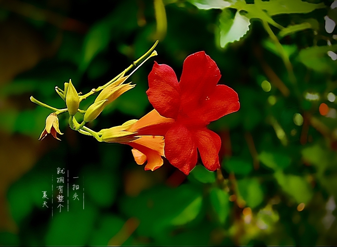 MEITU_20260622_104427105.jpg