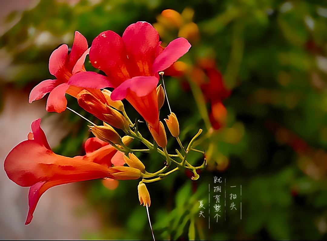 MEITU_20260622_104720122.jpg