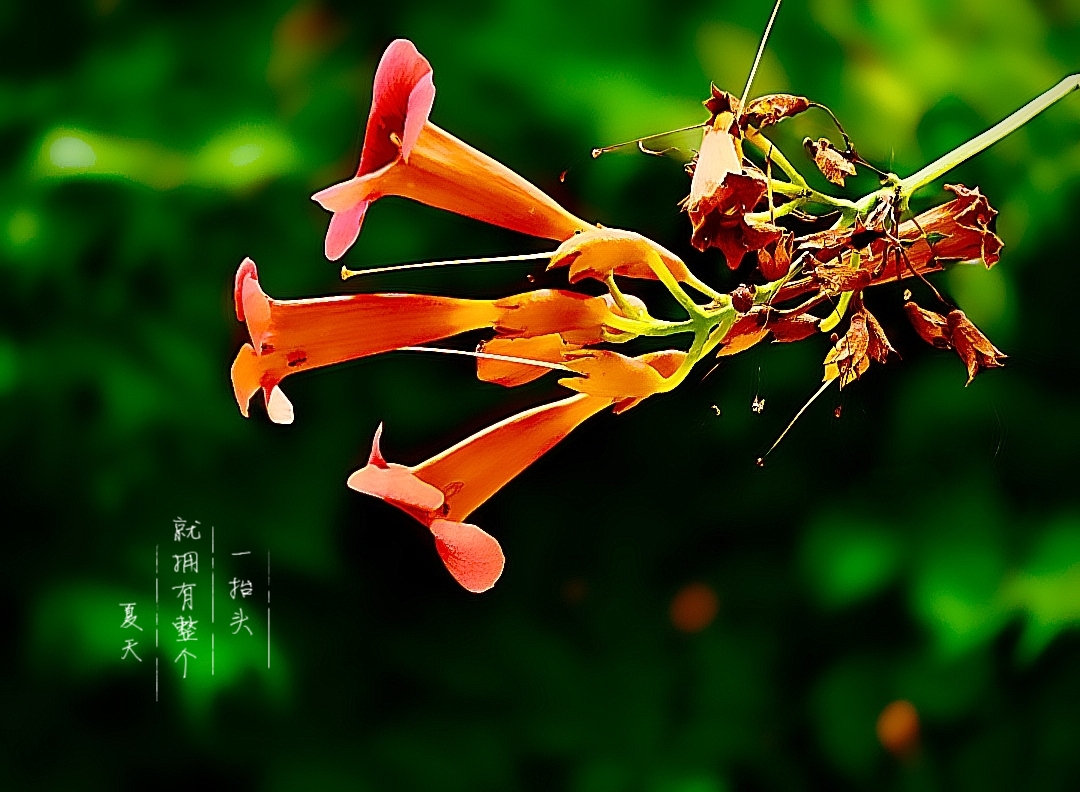 MEITU_20260622_104828108.jpg