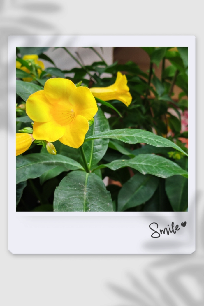 MEITU_20260623_202058754.jpg