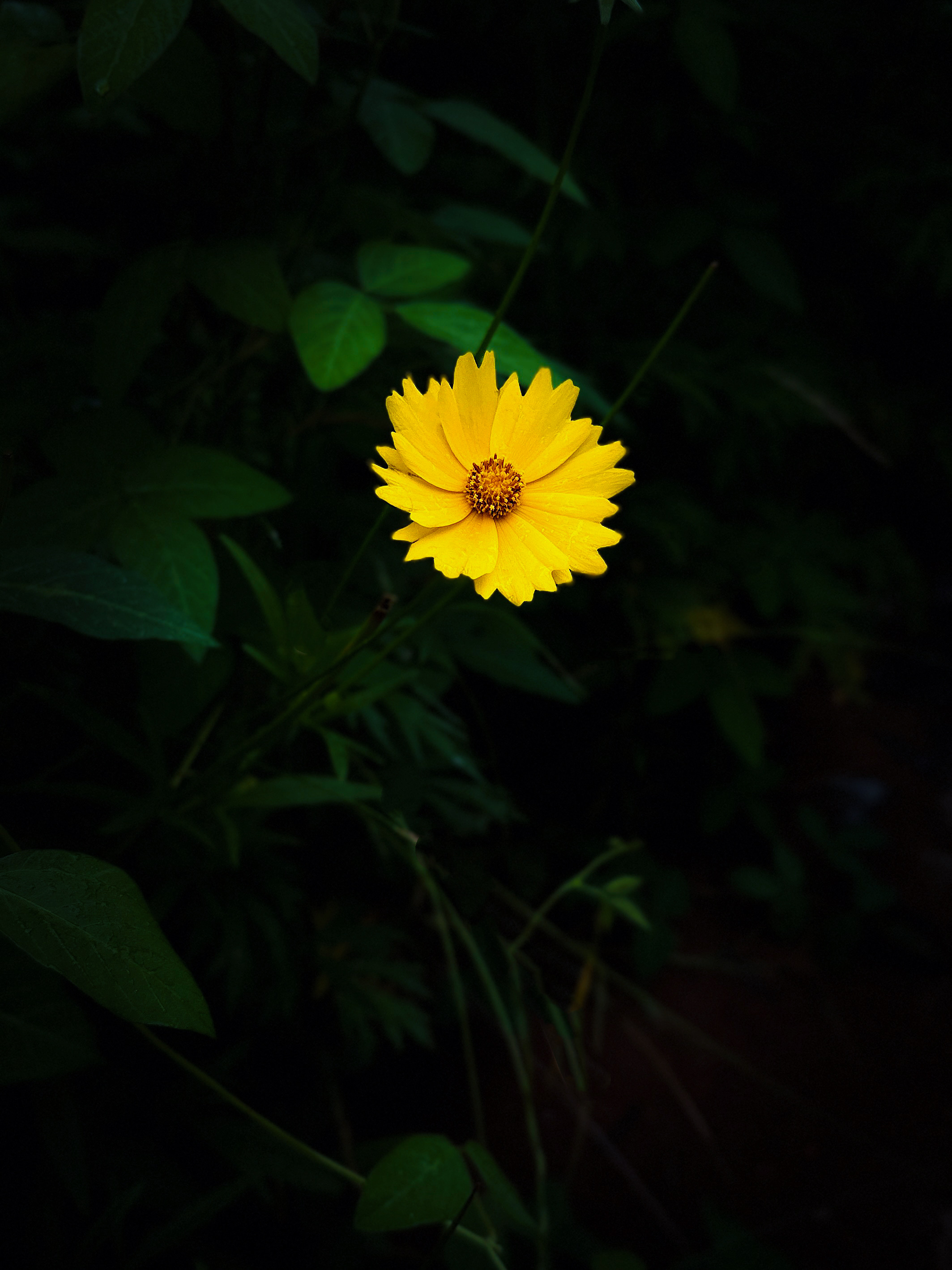 IMG_1564.jpeg