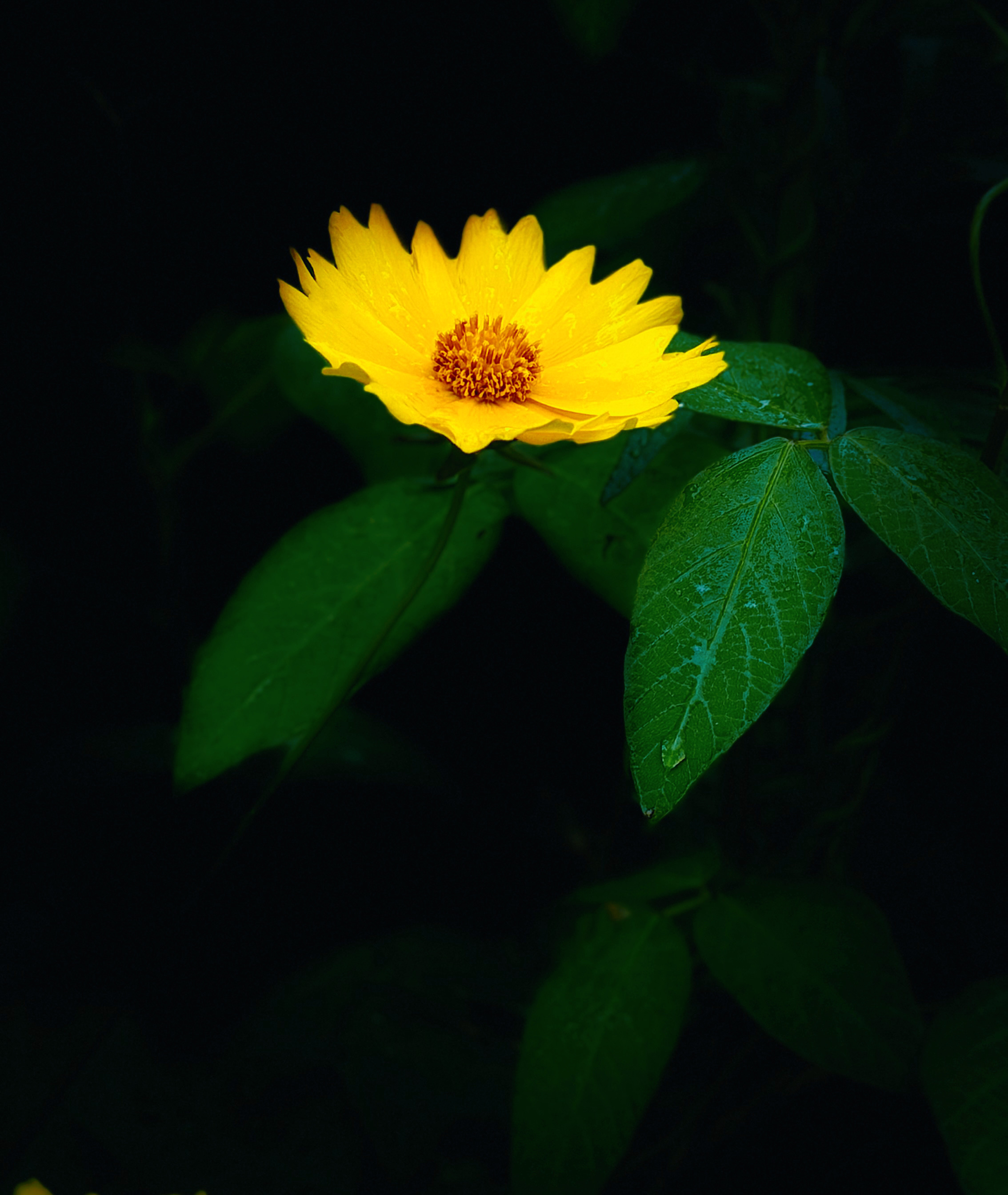 IMG_1565.jpeg