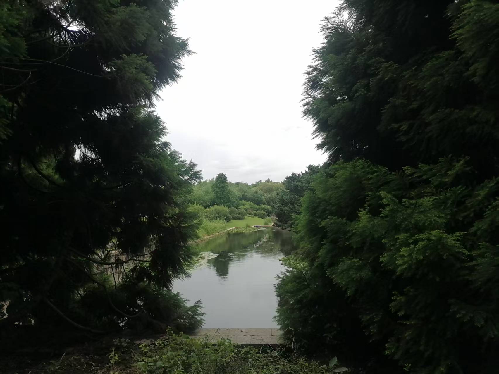 ΢��ͼƬ_20260705192547_212_4.jpg