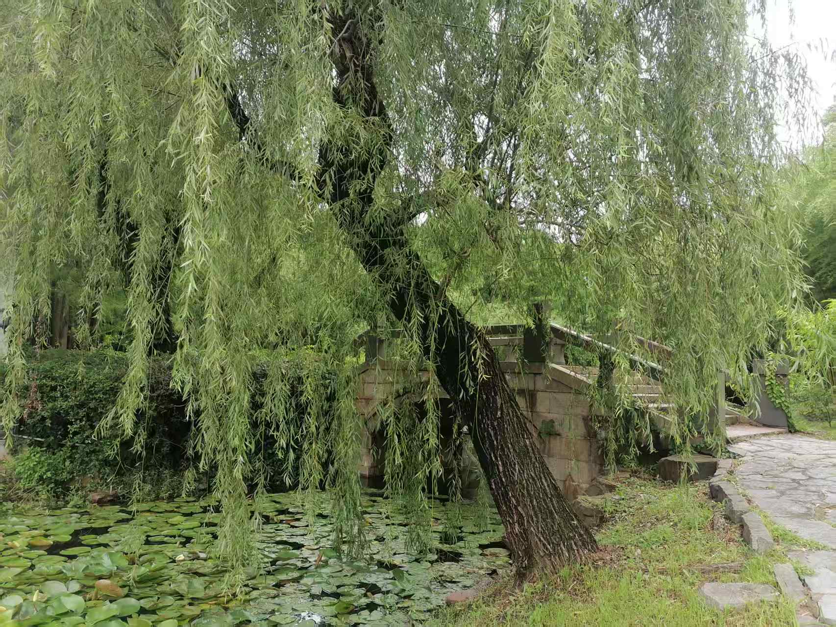 ΢��ͼƬ_20260705192531_196_4.jpg