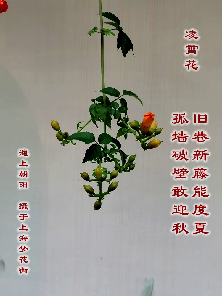 ΢��ͼƬ_20260924203005_651_4.jpg