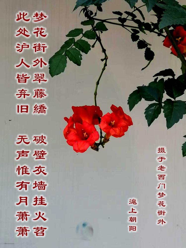 ΢��ͼƬ_20260924203004_650_4.jpg