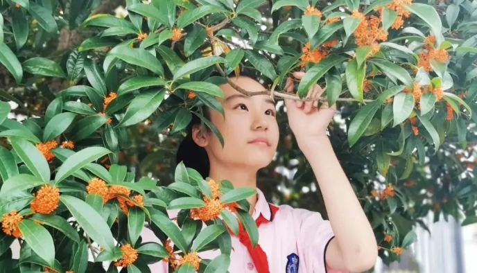 QQ_1790895607979.png